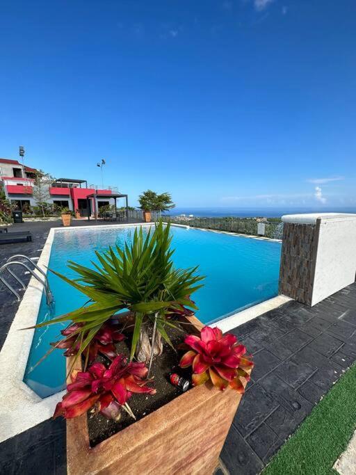 Vila Casa Bella Vista @ Pyramid Point Ocho Rios Exteriér fotografie